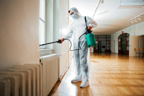 Best Fumigation Services  in West Hurley, NY